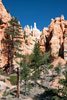 Uitzicht vanaf Peekaboo Loop Trail in Bryce Canyon