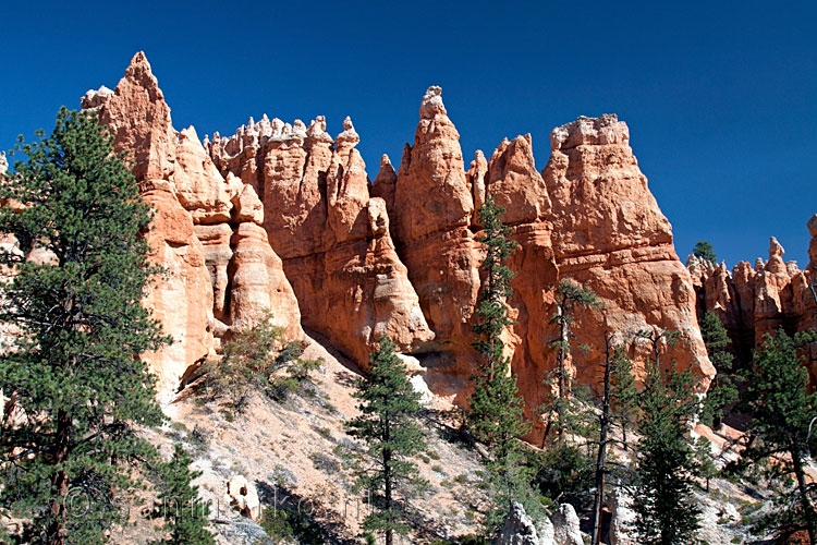 Hoodoo's langs Peekaboo Loop Trail in Bryce Canyon