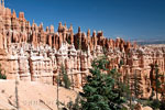 Het Amfitheater vanaf het wandelpad in Bryce Canyon