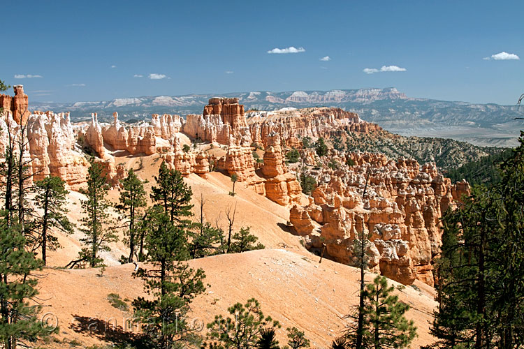 Uitzicht over Bryce Canyon vlak bij Sunset Point