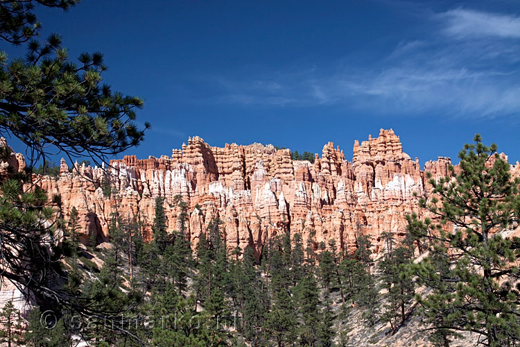 Het Amfitheater vanaf Peekaboo Loop Trail in Bryce Canyon