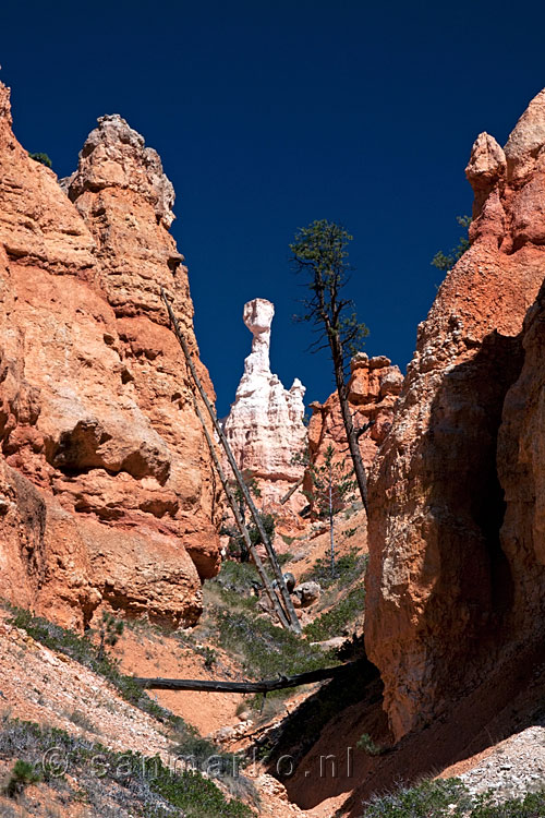 Een witte Hoodoo vlakbij Queen's Garden in Bryce Canyon