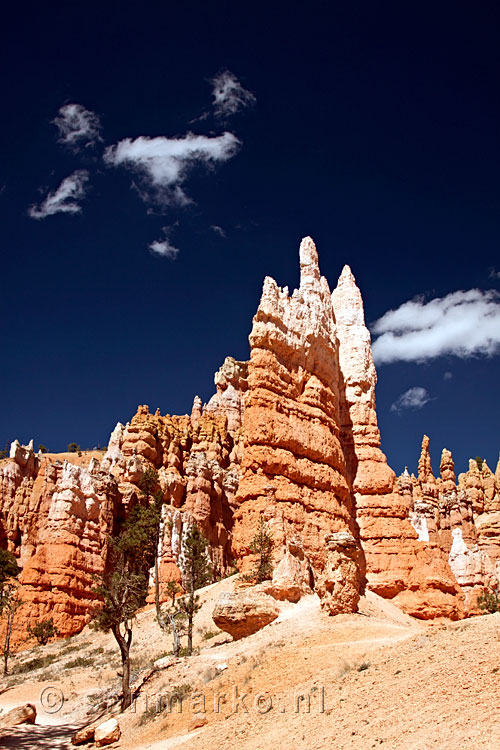 Een van de betoverende Hoodoo's van Bryce Canyon