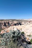 Uitzicht over Calf Creek vanaf Highway 12 in Utah