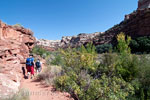 Het wandelpad naar Lower Calf Creek Falls, Grand Staircase-Escalante National Monument