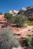 De omgeving rond om Calf Creek in Utah