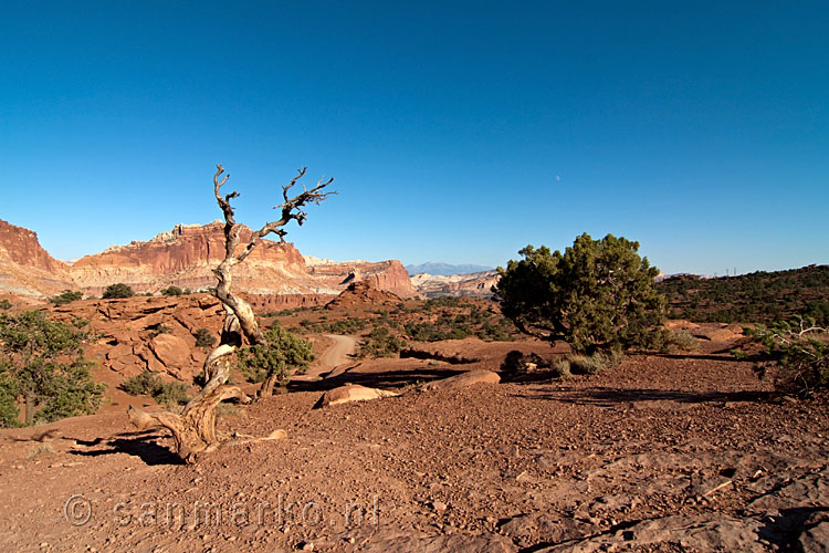 Het uitzicht over Capitol Reef National Park vanaf Sunset Point