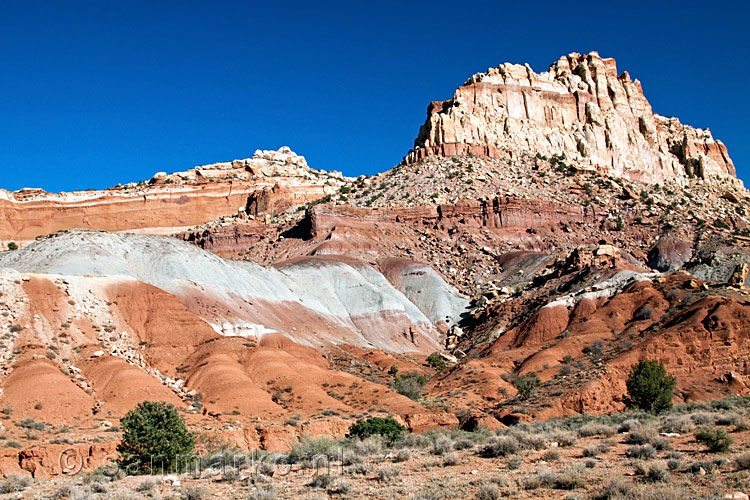 De kleuren van Capitol Reef in Utah