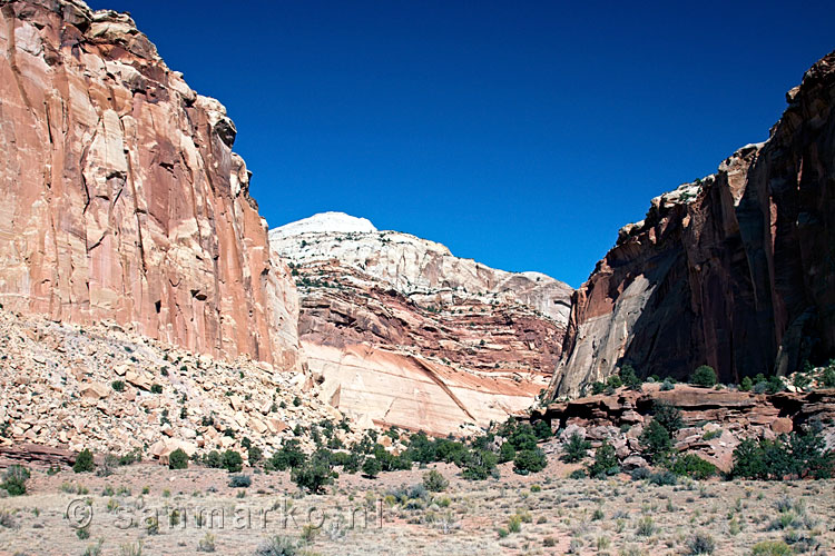 Het uitzicht vanaf een van de bochten in Capitol Gorge in Capitol Reef