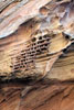 Honingraad structuur door erosie ontstaan in Capitol Gorge