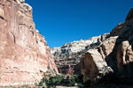 De kloof van Capitol Gorge in Capitol Reef in Utah in de USA