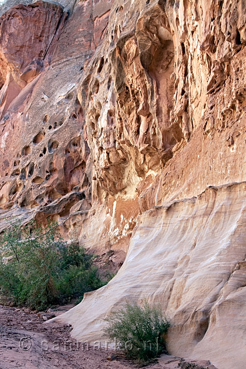 De rotswanden van Capitol Gorge in Capitol Reef in Utah