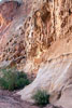 De rotswanden van Capitol Gorge in Capitol Reef in Utah