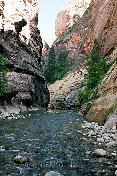 Het uitzicht vanaf het "wandelpad" door the Narrows in Zion