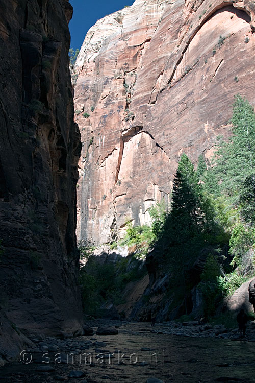 Een ondiep stuk in The Narrows in Zion