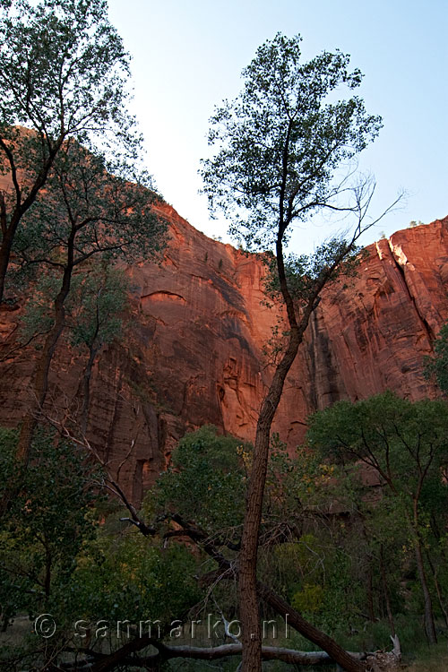 Het uitzcht vanaf Zion Canyon Scenic Drive