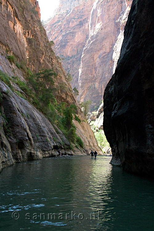 Een dieper stuk in The Narrows in Zion in Utah in Amerika