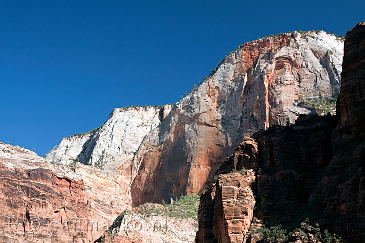 De omgeving van Zion National Park in Utah in de USA