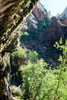 Weeping Rock in Zion National Park in Utah in Amerika