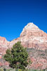 Bridge Mountain van de Wachtman Campground in Zion