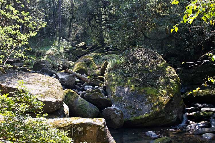 Het eerste uitzicht op de Nkwankwa rivier tijdens de wandeling naar Blue Grotto