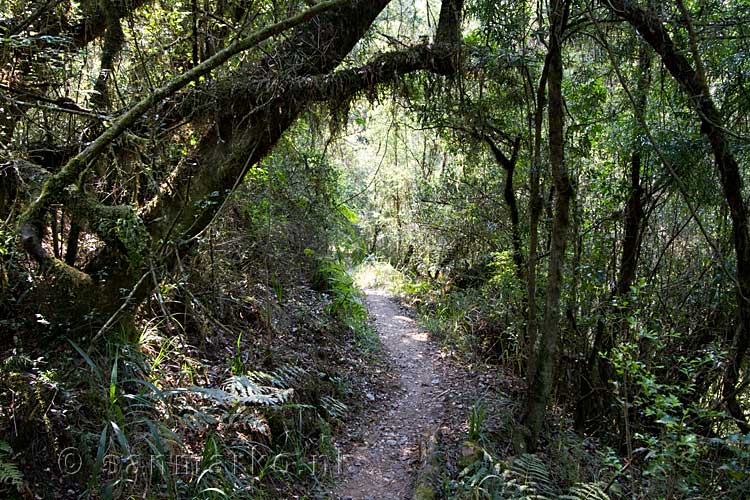 Een uitzicht op het wandelpad naar de Blue Grotto