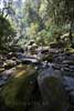 De grote stenen in de Nkwankwa river in de Drakensbergen in Zuid-Afrika
