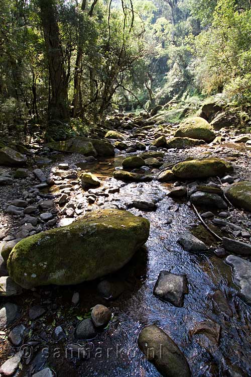 De Nkwankwa river vlakbij Monks Cowl Nature Resvere in Zuid-Afrika