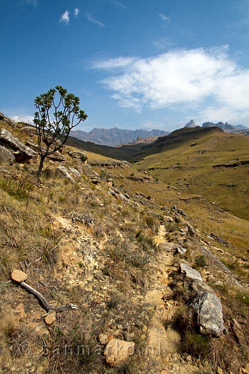 Een mooi uitzicht over het wandelpad en de vallei naar Rhino Peak