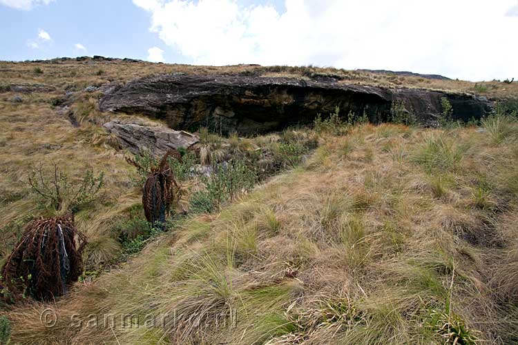 De Bushman's Rock is vanaf het wandelpad een klein stukje omhoog