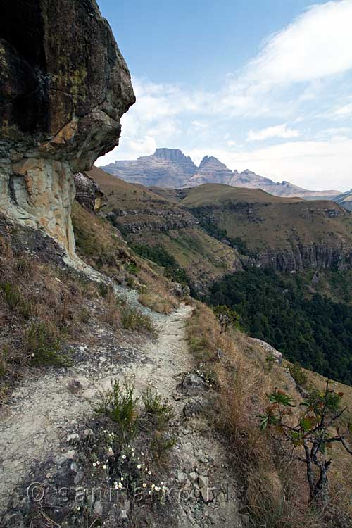 Het wandelpad onderlangs de Sphinx met uitzicht over de Cathkin Peak in de Drakensbergen