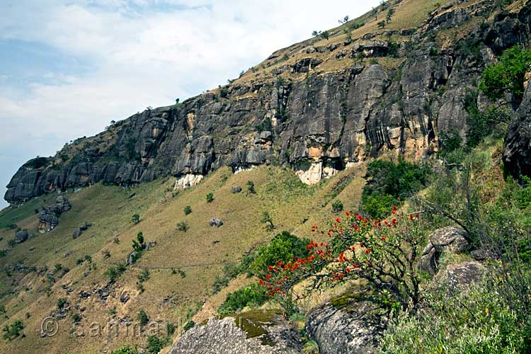 De mooie natuur van de Drakensbergen bij Monks Cowl in Zuid-Afrika