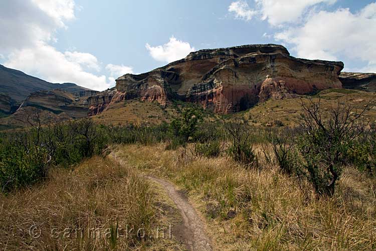 Het wandelpad naar Echo Ravine in Golden Gate Highland National Park