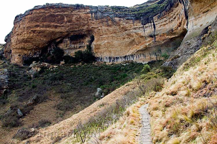 Het laatste stukje wandelpad van Echo Ravine naar Brandwag in Golden Gate Higland NP