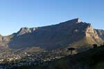 De Tafelberg in het avondlicht vanaf Signal Hill in Kaapstad