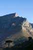De laatste zonnestralen op de Tafelberg in Kaapstad in Zuid-Afrika