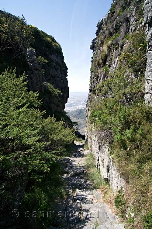 Het begin van de afdaling door Plattekloof terug vanaf de Tafelberg