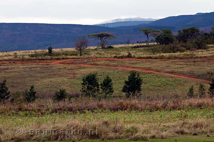 Het wandelpad met een mooi uitzicht over het Mlilwane Wildlife Sanctuary
