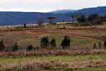Het wandelpad met een mooi uitzicht over het Mlilwane Wildlife Sanctuary