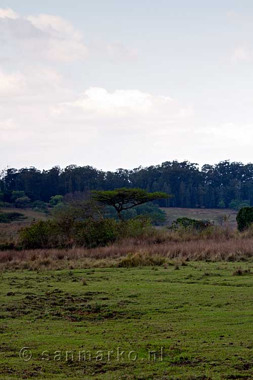 Het Mlilwane Wildlife Sanctuary in Swaziland is erg mooi