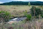 Een leuke kleine waterval in het Mlilwane Wildlife Sanctuary in Swaziland