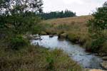 We volgen dit stroompje tijdens onze wandeling door Mlilwane Wildlife Sanctuary