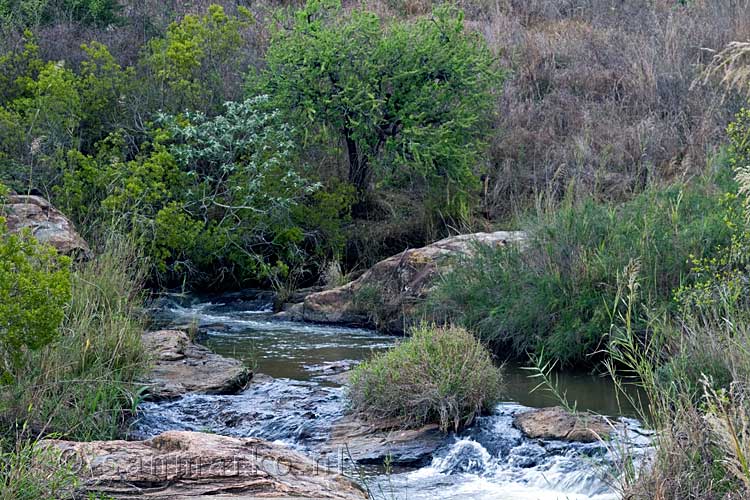 Tijdens onze wandeling komen we langs dit mooie stukje natuur in Mlilwane Wildlife Sanctuary