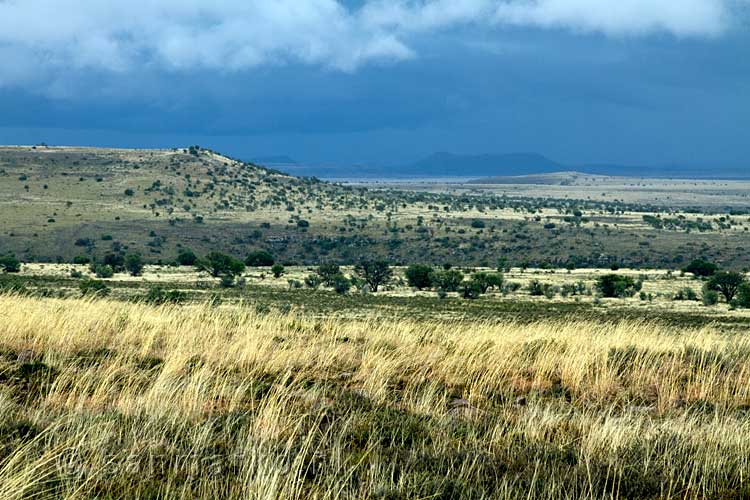 Een uitzicht over de natuur van Mountain Zebra National Park in Zuid-Afrika