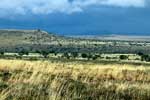 Een uitzicht over de natuur van Mountain Zebra National Park in Zuid-Afrika