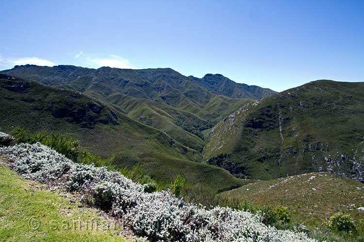 Aan de N 12 richting Oudtshoorn rijden we over de Outeniqua pass