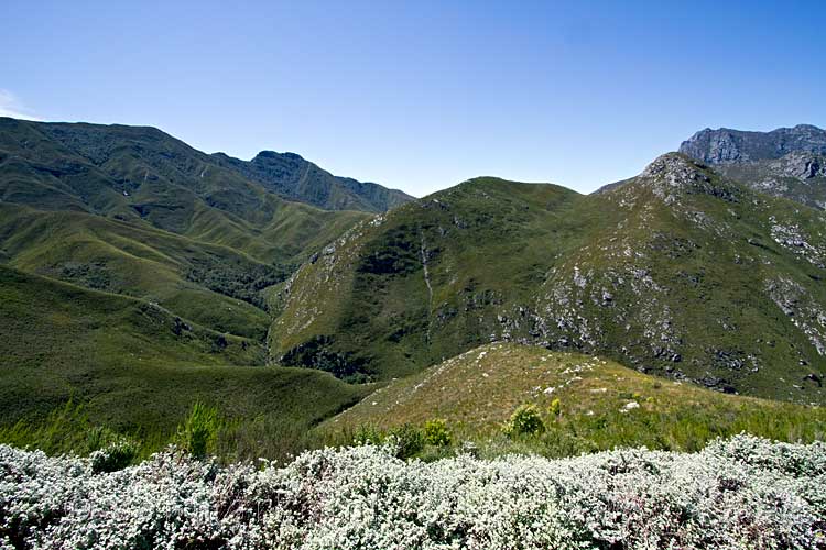 Tussen George en Oudtshoorn ligt de Outeniqua pass in Zuid-Afrika