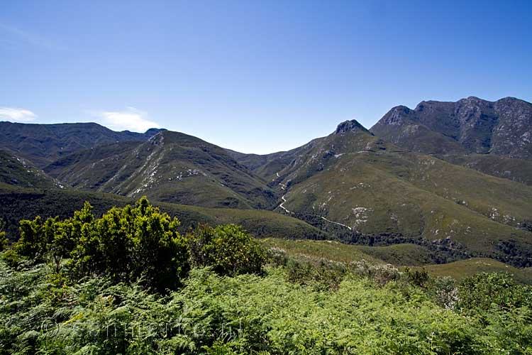 De Quteniqua pass tussen George en Oudtshoorn is leuk om te rijden