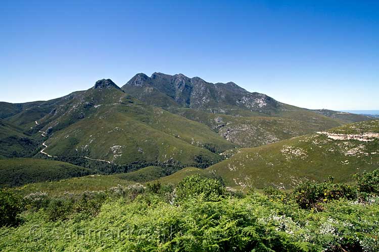 De mooie bergen van de Quteniqua pass tussen George en Oudtshoorn