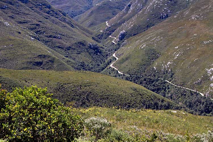 Tijdens onze autorit over de Outeniqua pass hebben we een mooi uitzicht